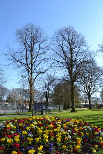 Flowerbed, lawns and trees looking across to an enclosed tennis court