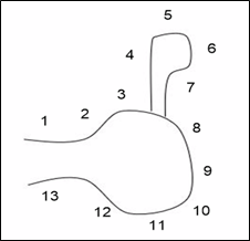 Diagram - offset properties normally at 90° to the main street, number properties outward from road.