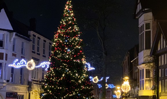 christmas tree and lights in Sutton 
