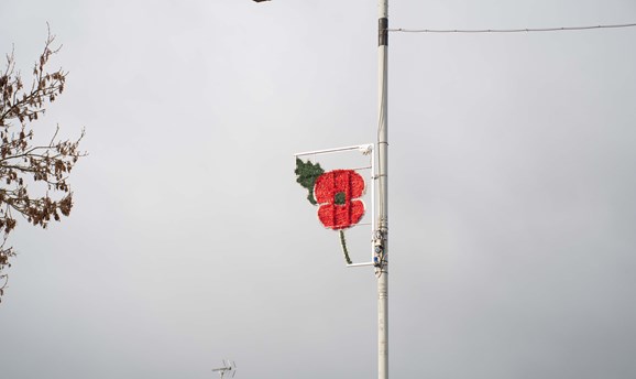 Photo of one of the poppy lights outside the Council office on urban road 